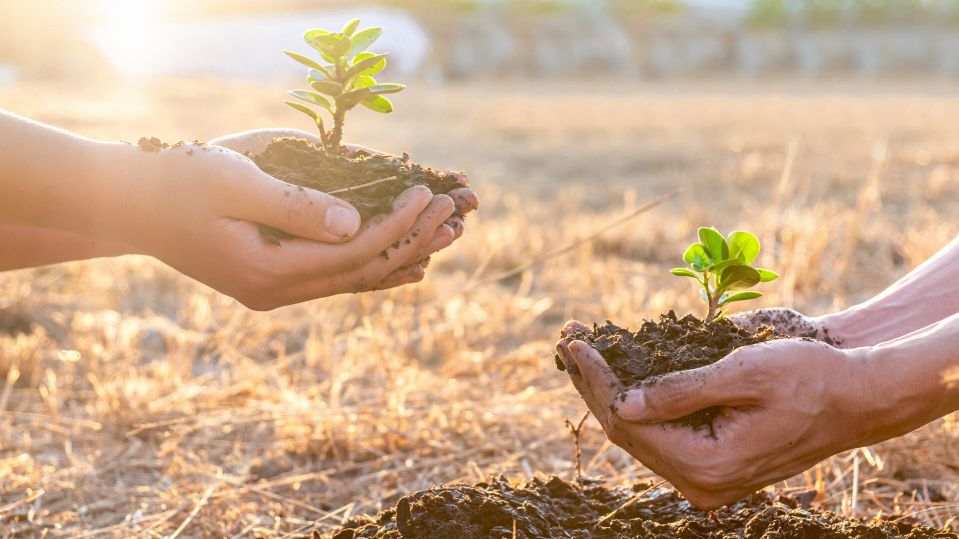 I Ambiente - IEGM ADCOMWEB
